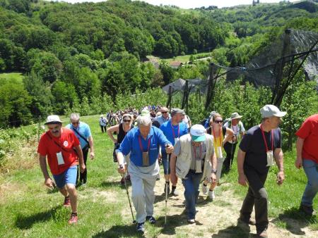 Pomlad v prleških goricah 2017 114